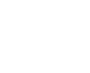 Localtonet Logo
